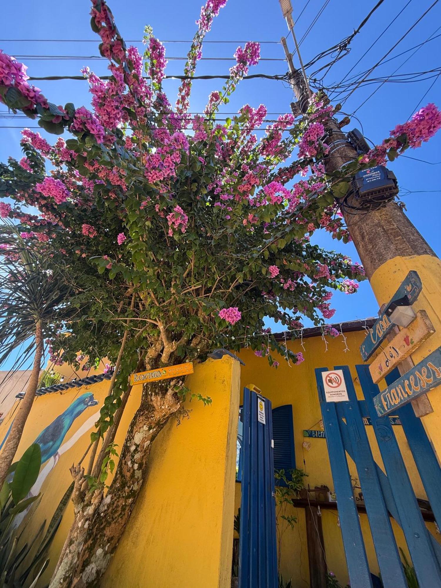 Casa Dos Franceses Guesthouse Ilha Grande Zewnętrze zdjęcie